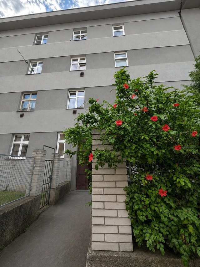 Vchod do domu s rozkvetlým keřem u branky
